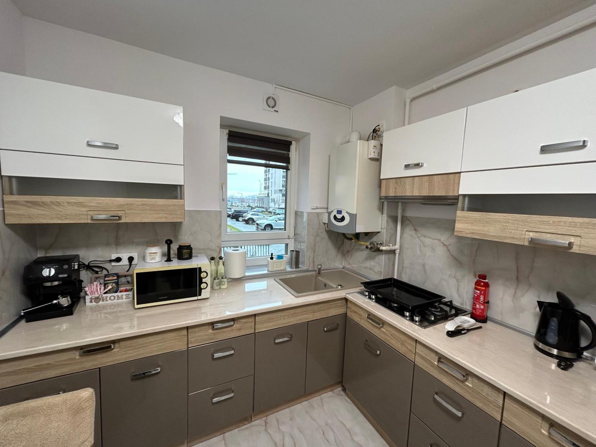 One-Bedroom Apartment with Park View